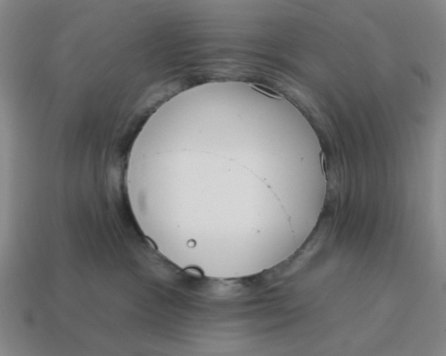 X0000114440333200911061709