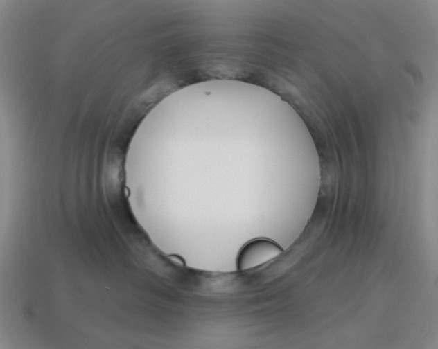 X0000114440334200911061709