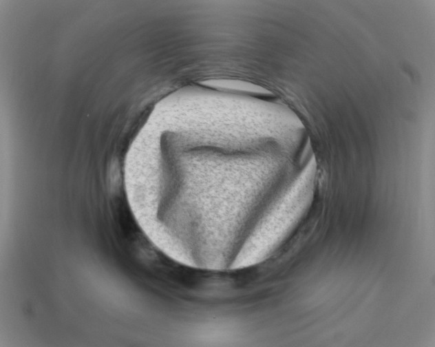 X0000114440335200911061709