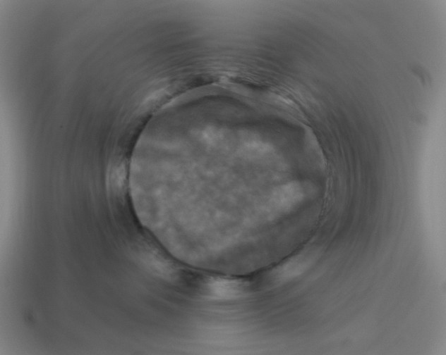 X0000114440336200911061709