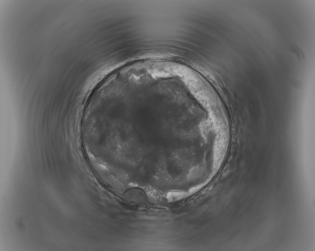 X0000114440337200911061708