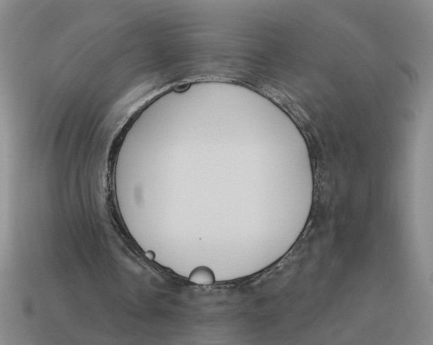 X0000114440338200911061708