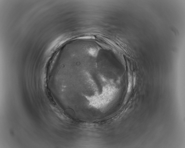 X0000114440339200911061708