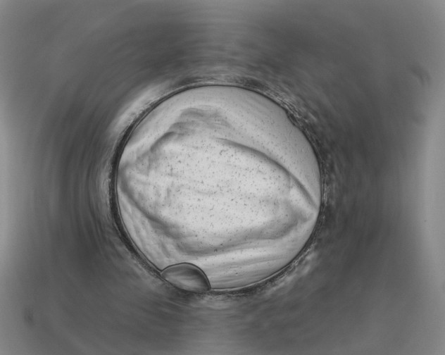 X0000114440341200911061708