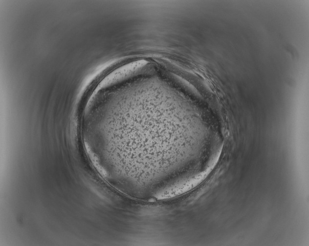 X0000114440342200911061708