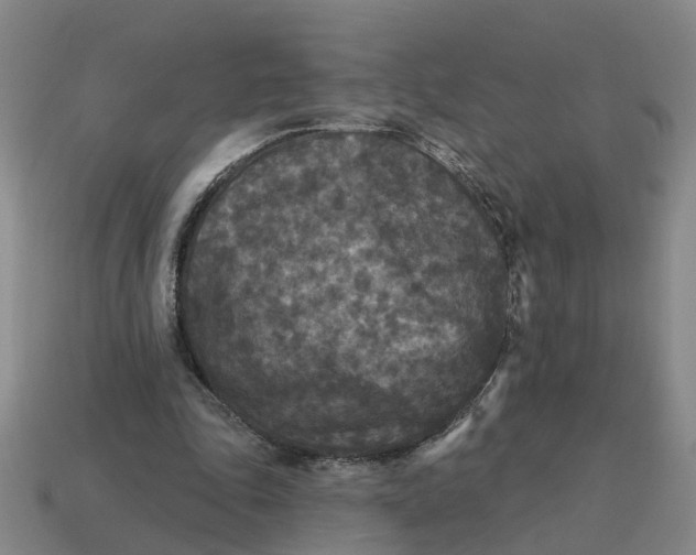 X0000114440343200911061708