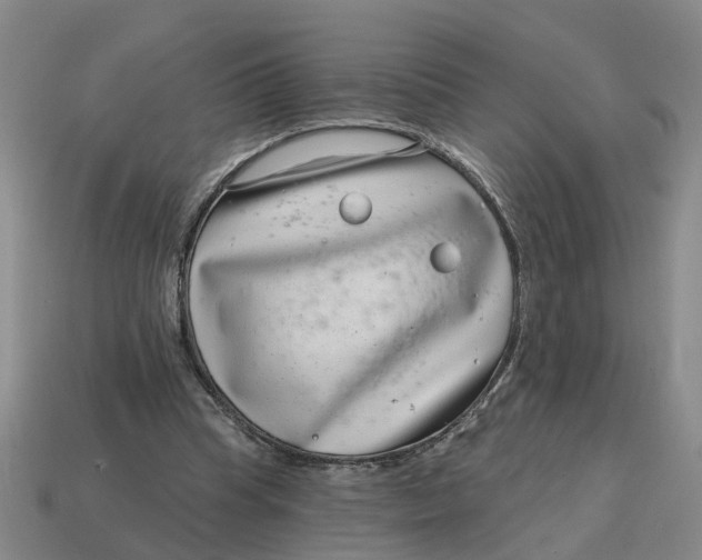 X0000114440345200911061708