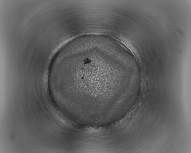 X0000114440346200911061708