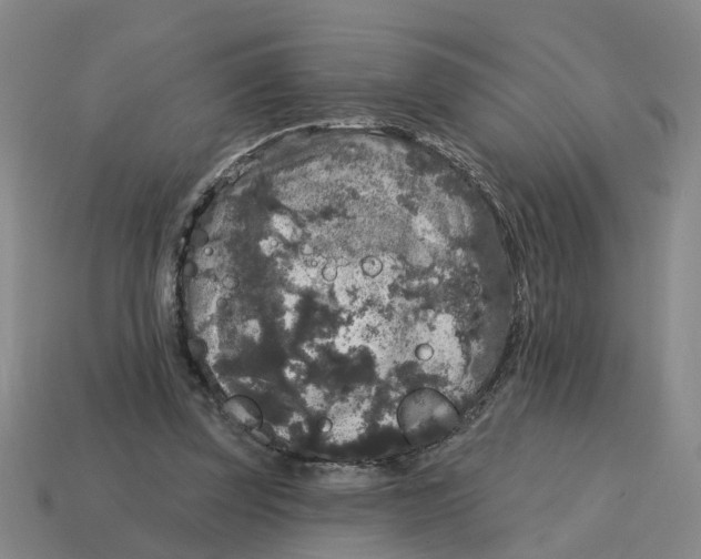 X0000114440347200911061708