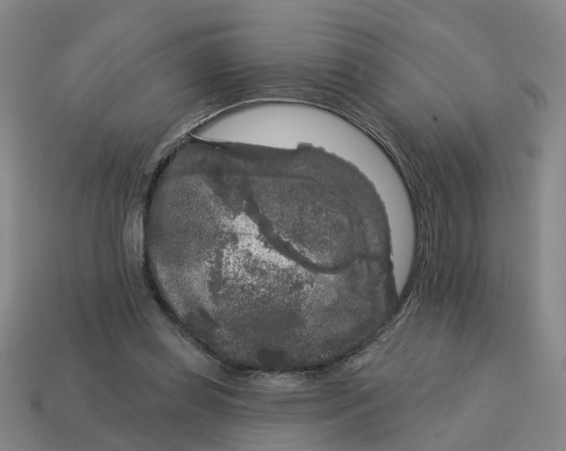 X0000114440349200911061708