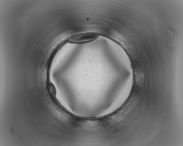 X0000114440350200911061708