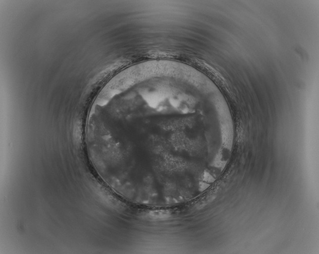 X0000114440353200911061708