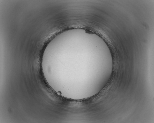 X0000114440354200911061708