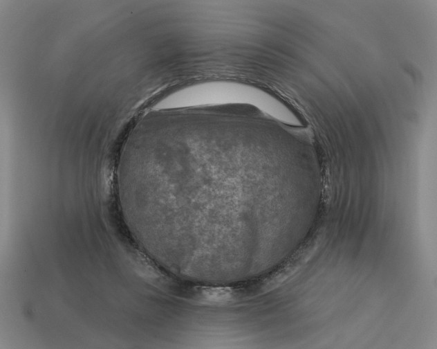 X0000114440355200911061708