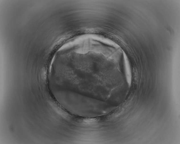 X0000114440357200911061708