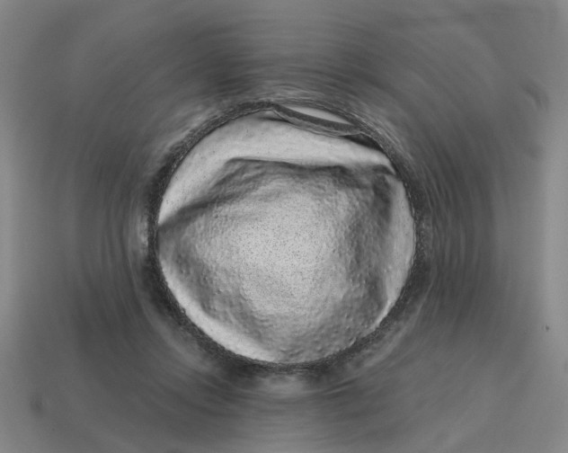 X0000114440358200911061708