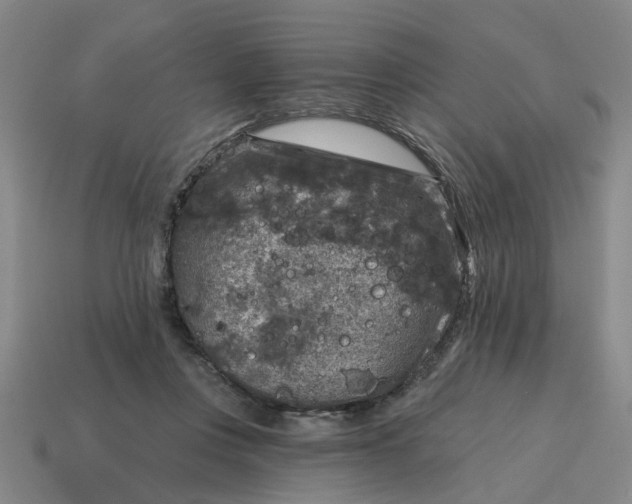 X0000114440359200911061708