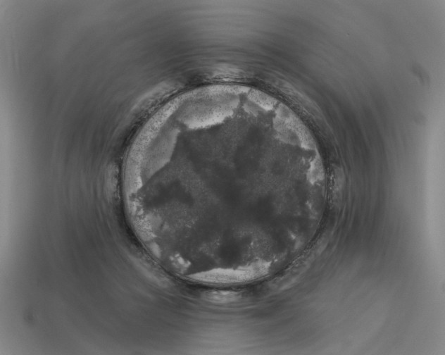 X0000114440361200911061708