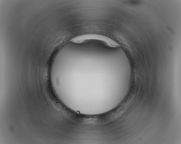 X0000114440362200911061708