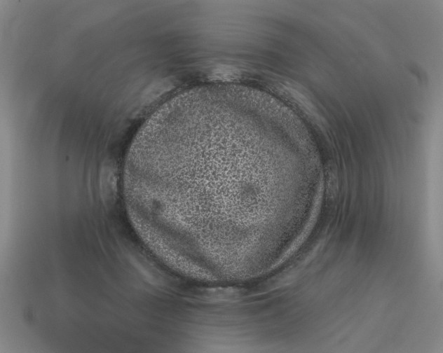 X0000114440363200911061708