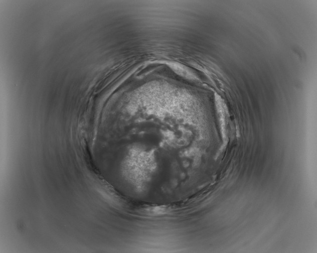 X0000114440365200911061709