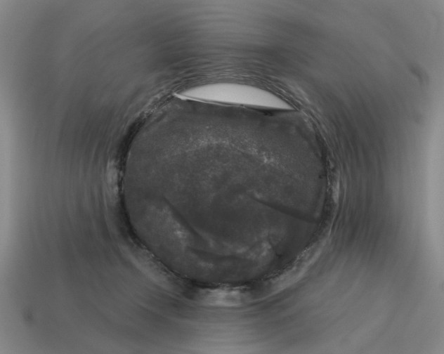 X0000114440366200911061709