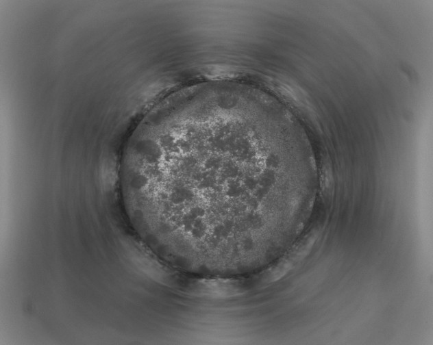 X0000114440367200911061709