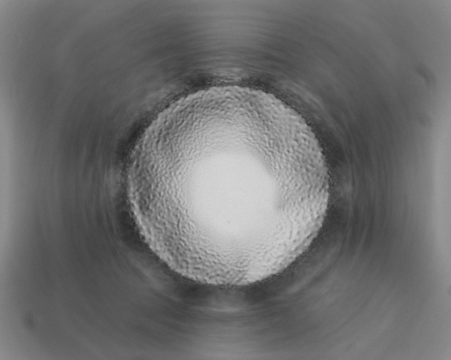 X0000114440369200911061709