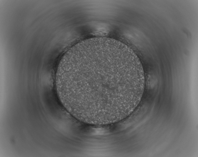 X0000114440370200911061709