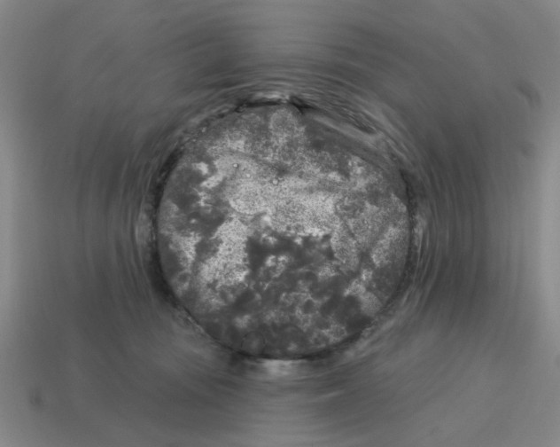 X0000114440371200911061709