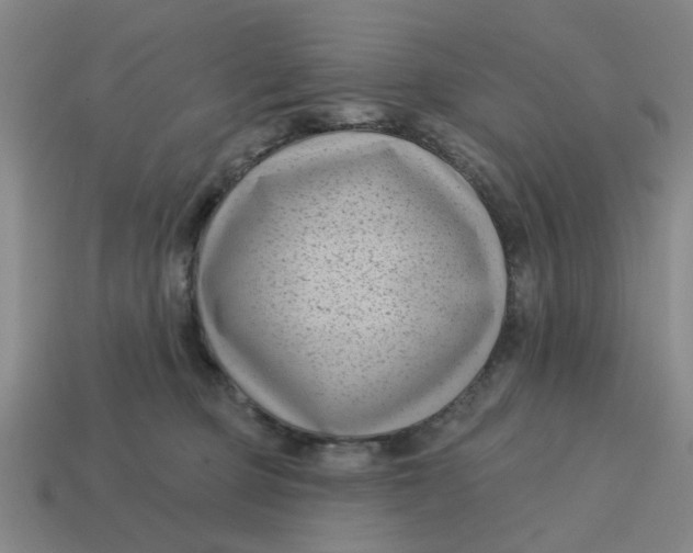 X0000114440373200911061709