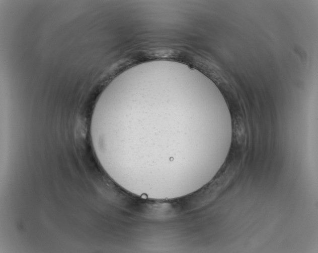 X0000114440374200911061709