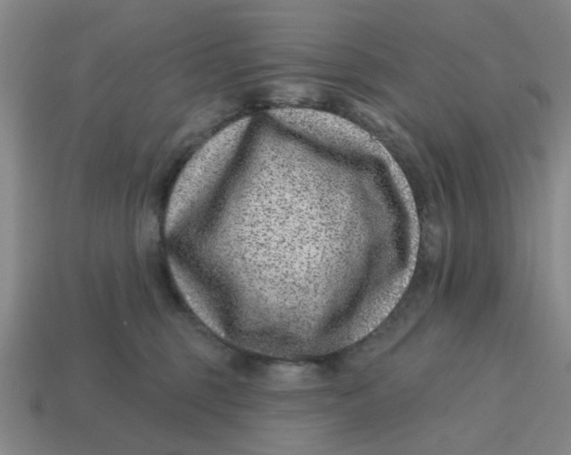 X0000114440375200911061709