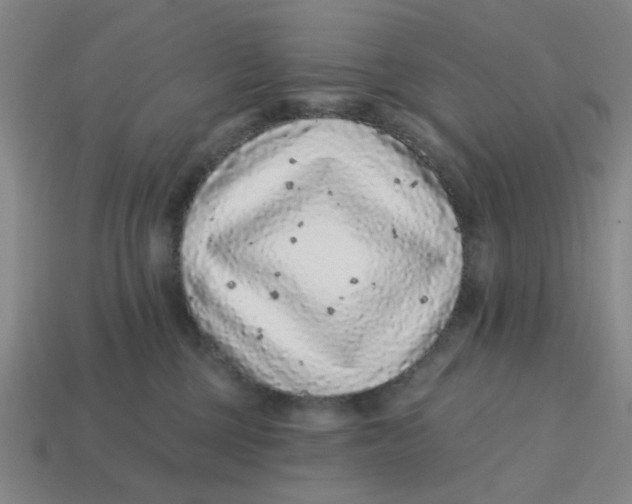 X0000114440377200911061709