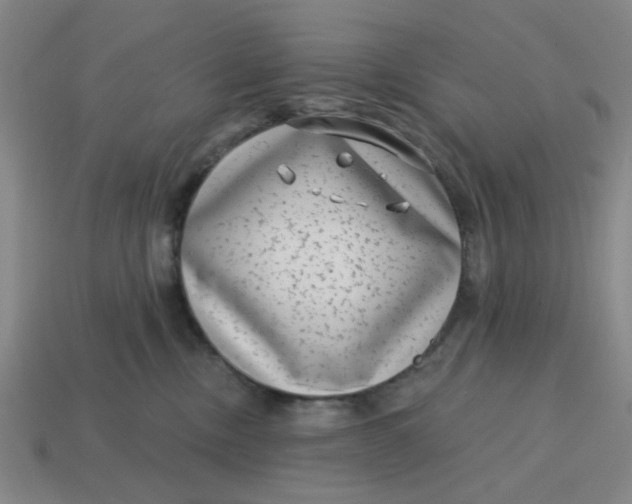 X0000114440378200911061709