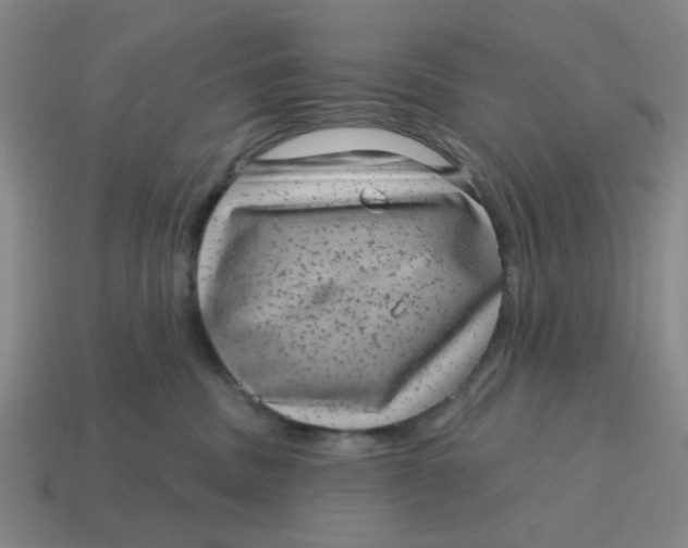 X0000114440379200911061709