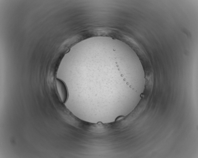 X0000114440381200911061709