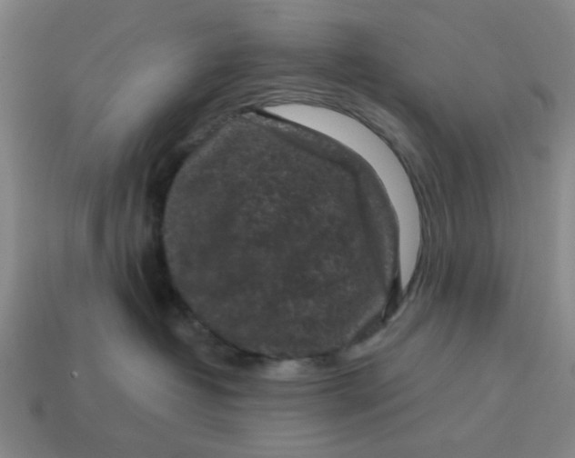 X0000114440382200911061709