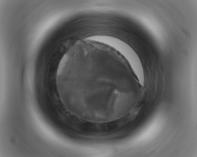 X0000114440383200911061709