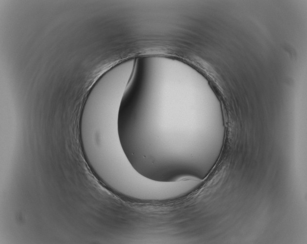 X0000114440385200911061708