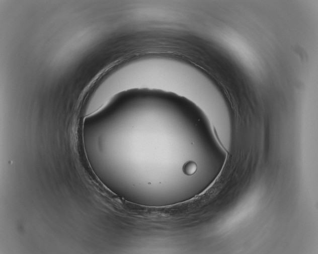 X0000114440387200911061708