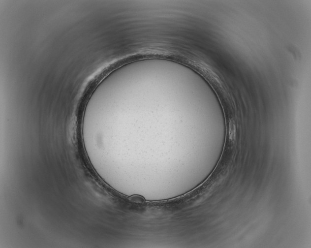 X0000114440388200911061708