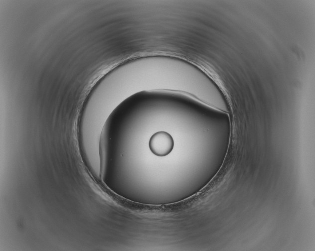 X0000114440389200911061708