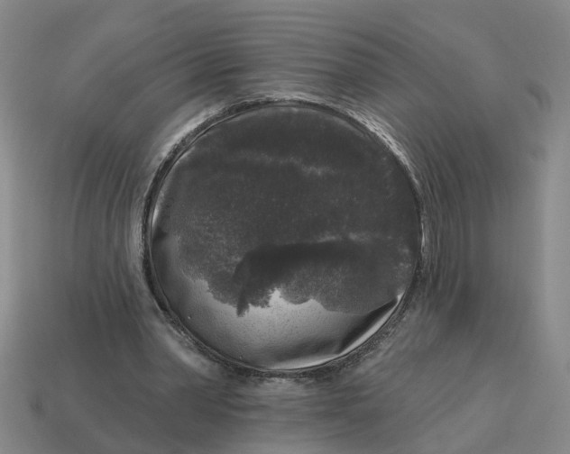 X0000114440390200911061708