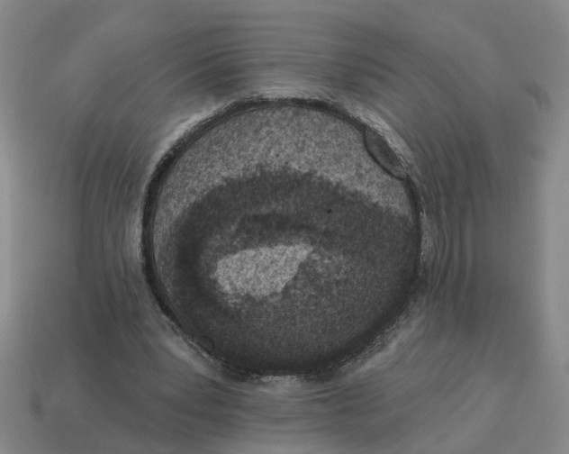 X0000114440391200911061708