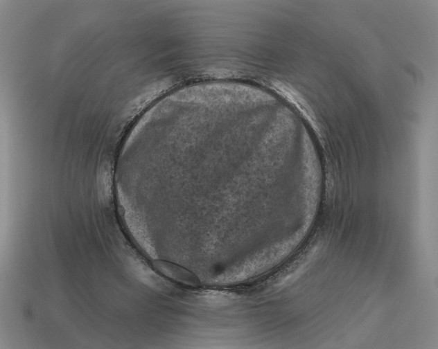 X0000114440393200911061708