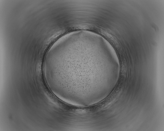 X0000114440394200911061708