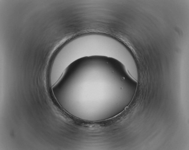 X0000114440395200911061708