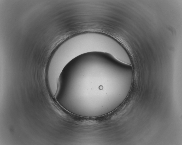 X0000114440397200911061708