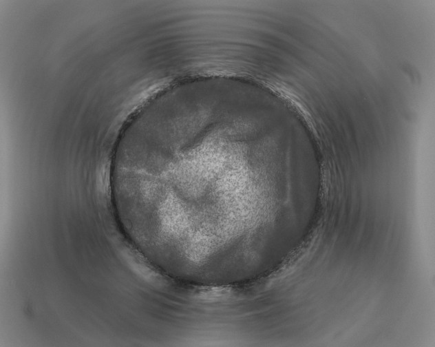 X0000114440398200911061708